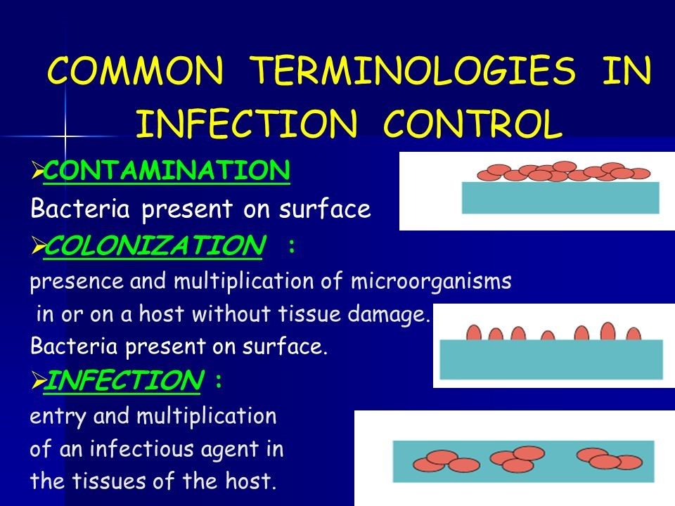 Sanitation & Disinfection